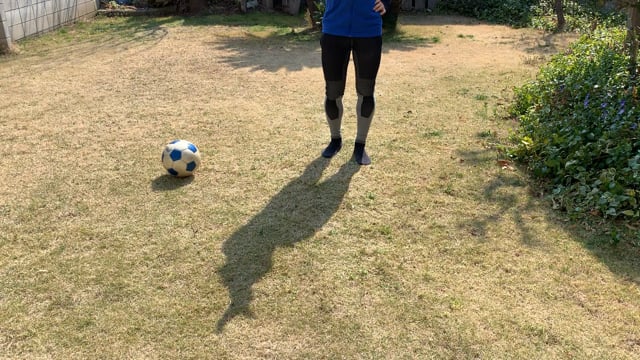 シュートの理論