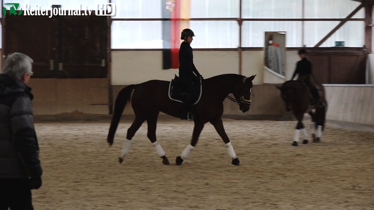 Richtig Reiten mit Dr. Dietrich Plewa 2019, Teil 1 von 2