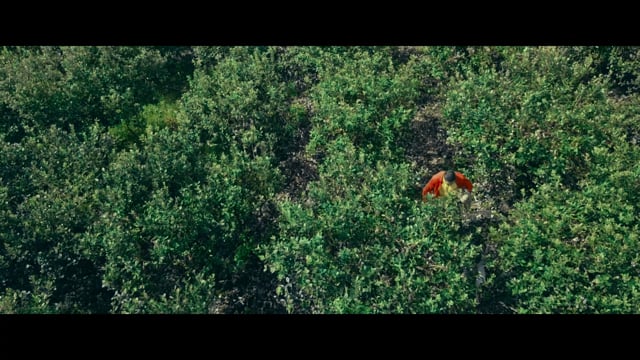 Trailer Oficial