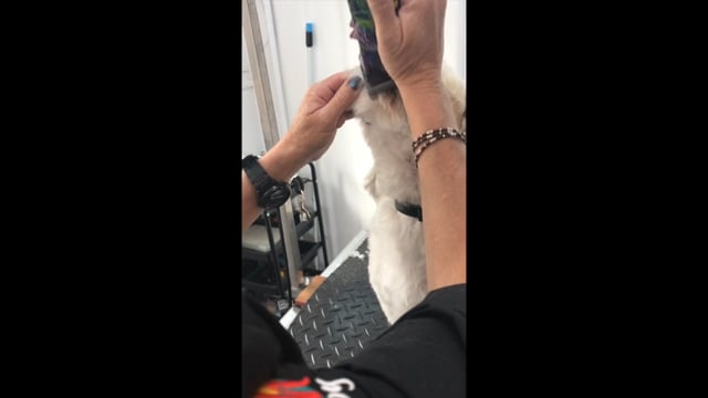Related Embedded Video Item Thumbnail