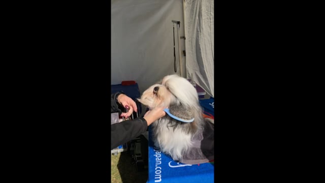 Related Embedded Video Item Thumbnail