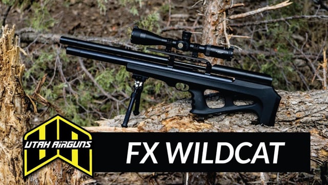 FX WILDCAT Review Utah Airguns - Airgun101