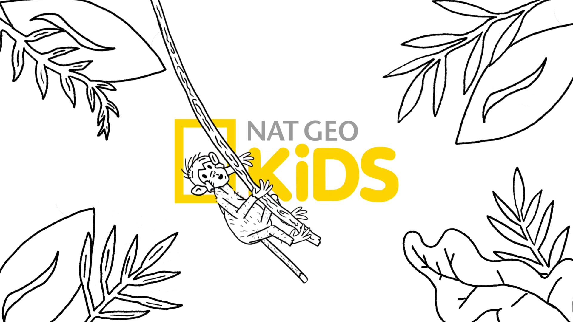 Natgeo "Adventure" Logo Animation