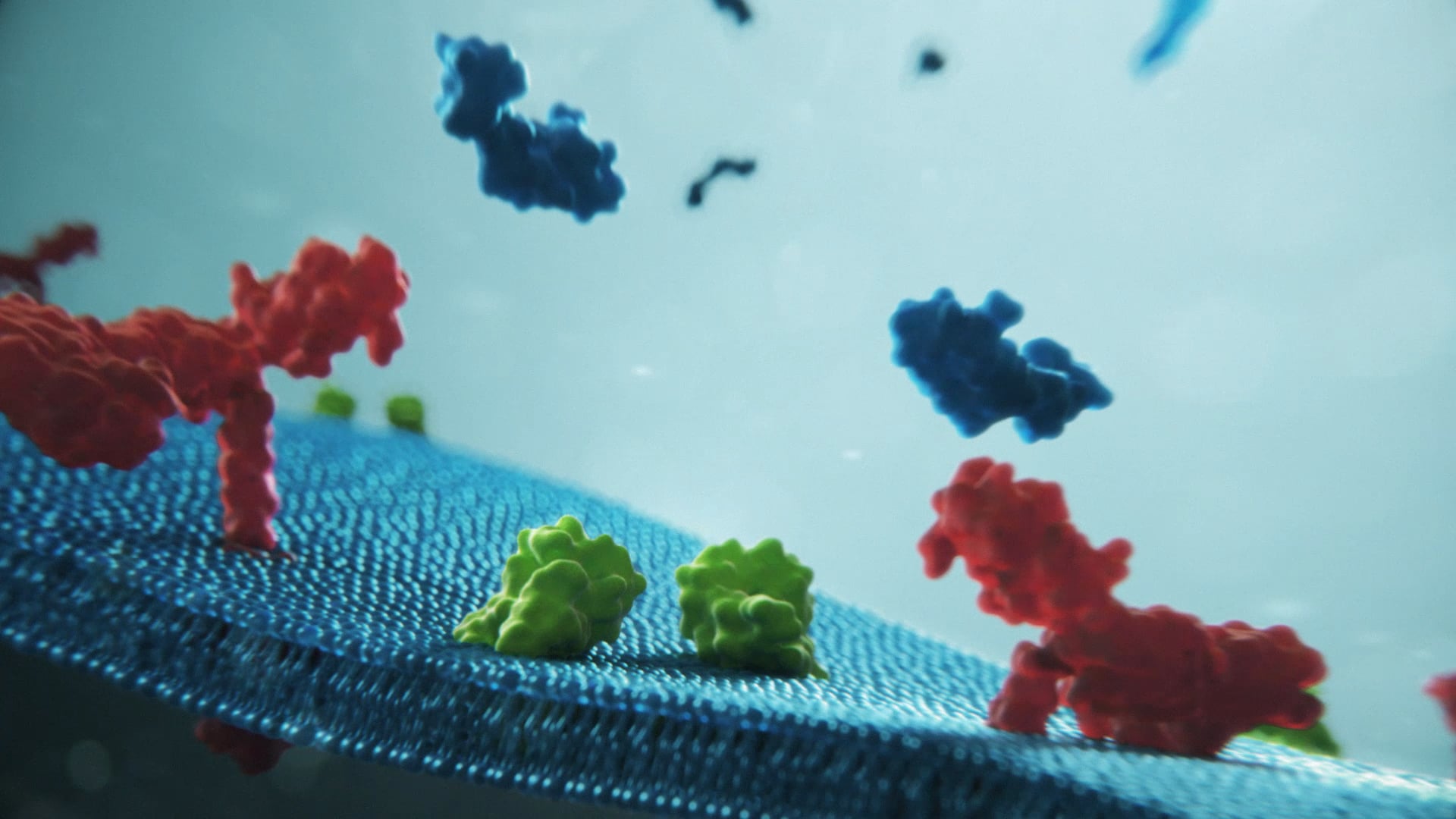 Lipid bilayer