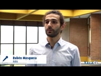 Adianto do contenido do relatorio