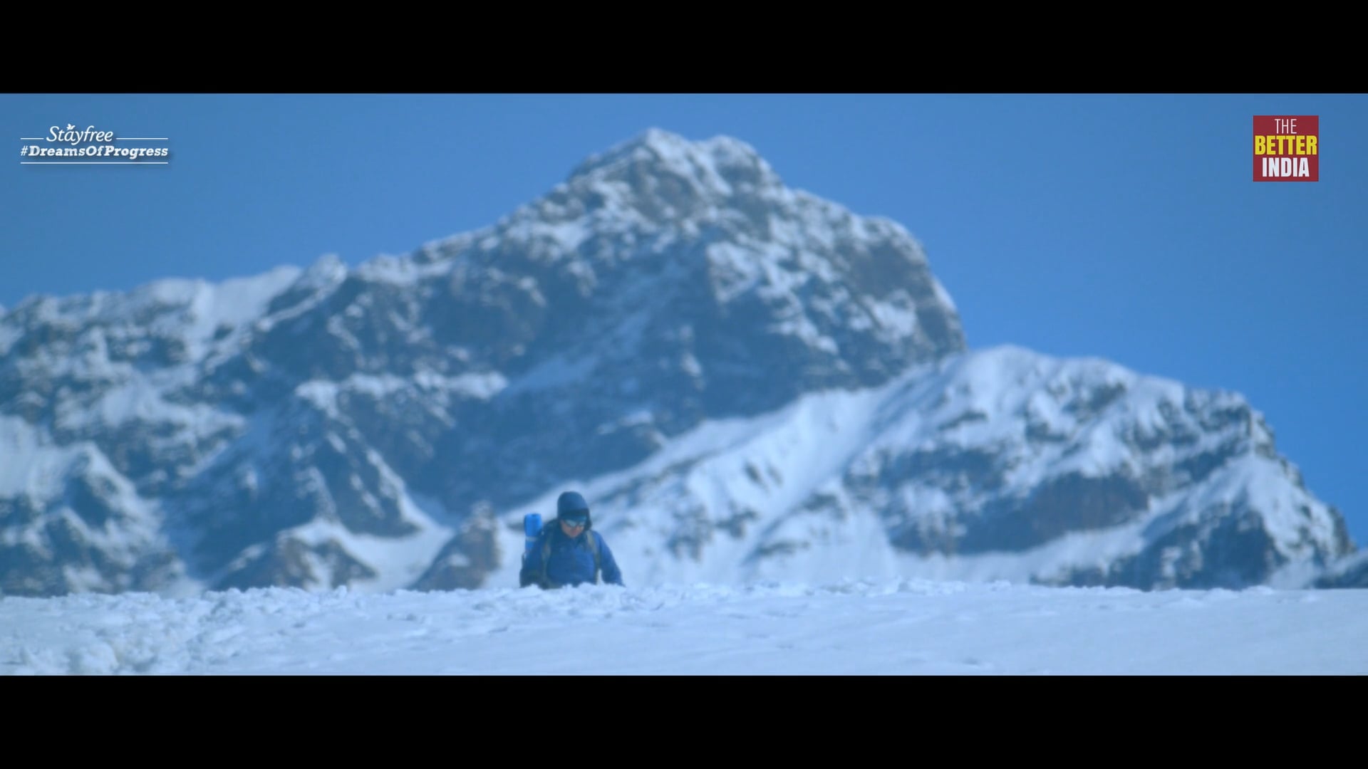 STAYFREE - SEVEN SUMMITS