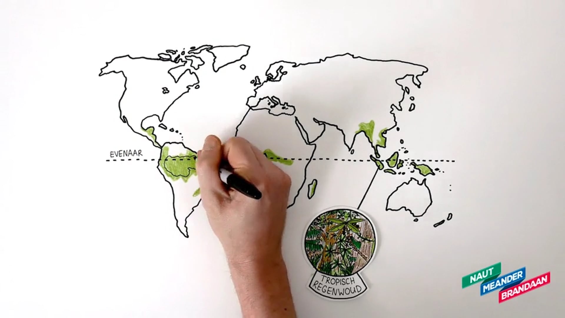 whiteboard film