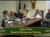 Naples Selectboard - Ordinance Committee 3-25-2019