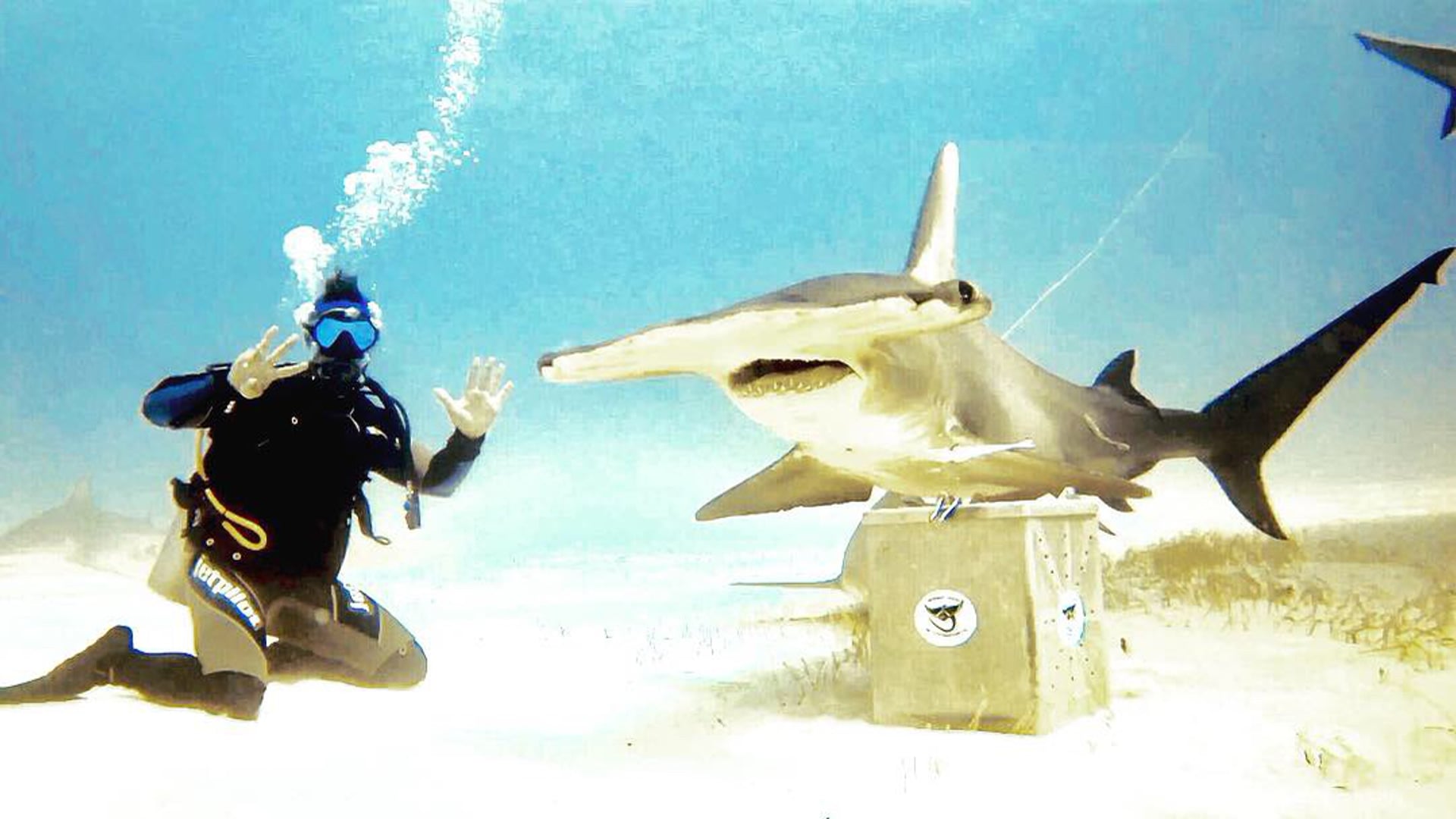 TRGH 25 Hammer Time Birthday Style