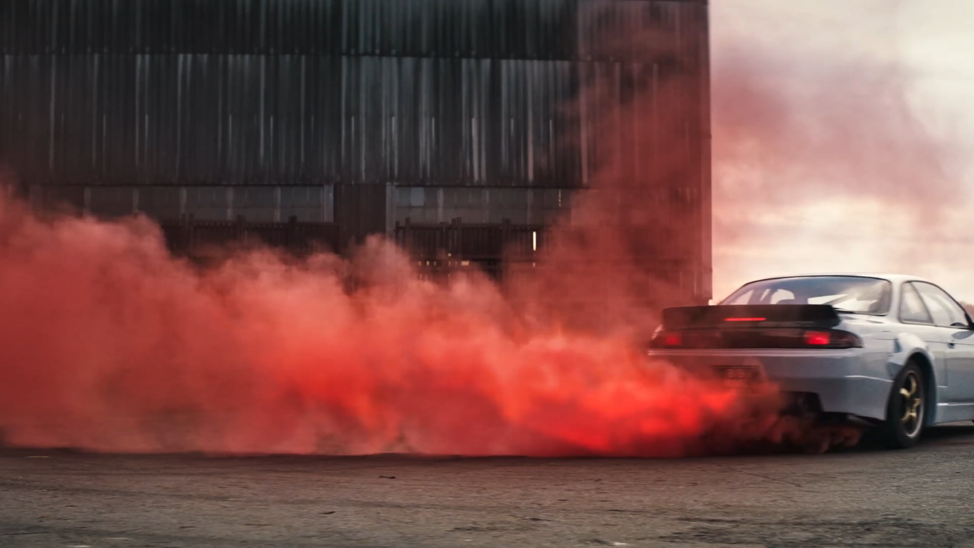 A Mild | Anthony Pellino