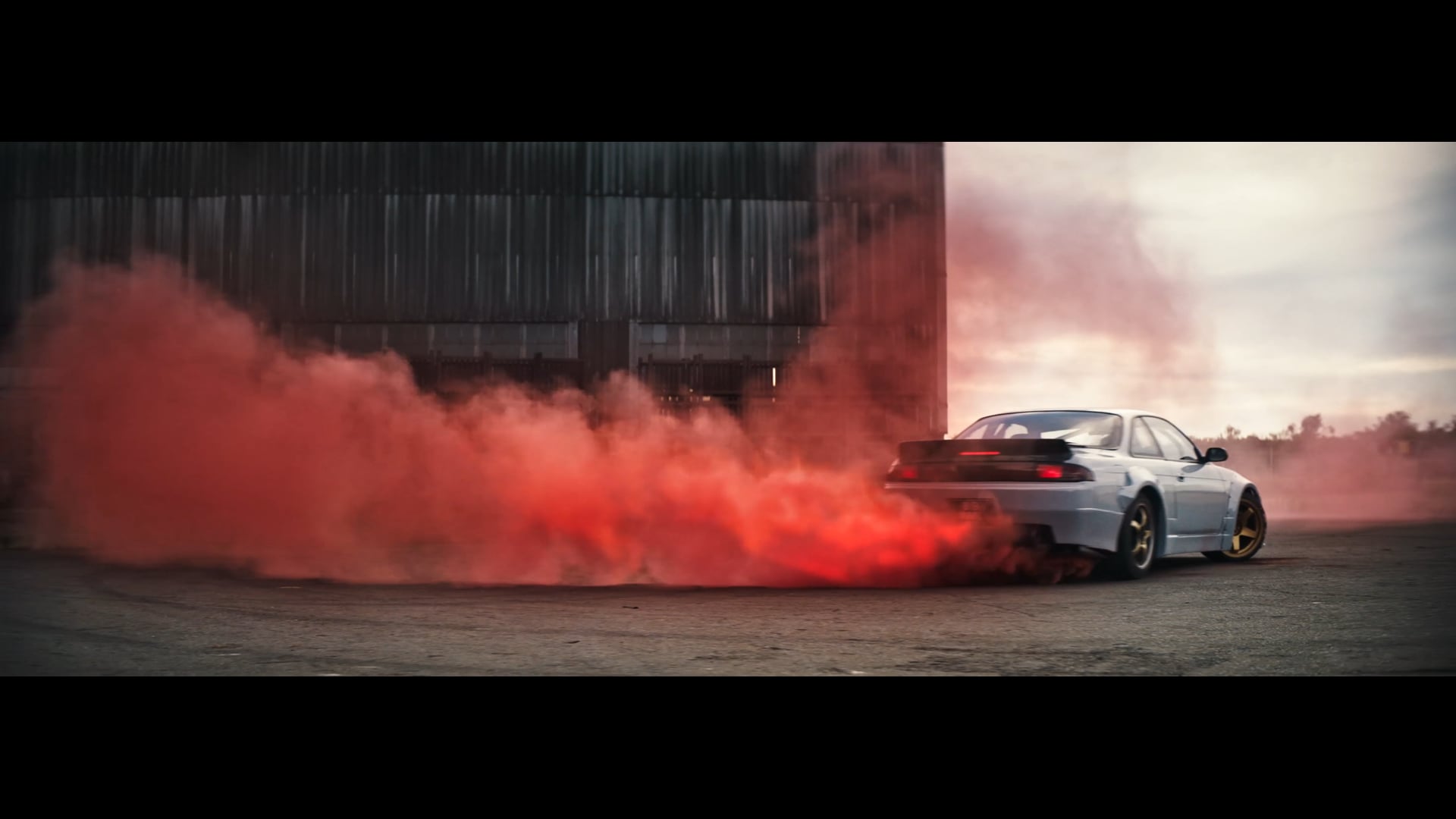 A Mild | Anthony Pellino