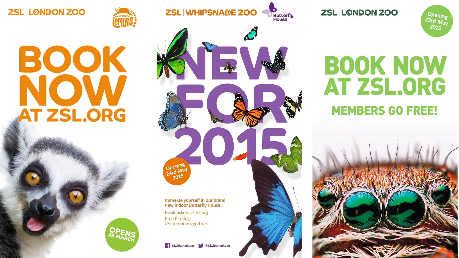 ZSL – Let's work for wildlife | Design | The Chase