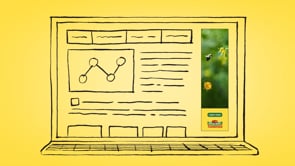 NatureSweet Case Study