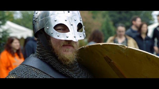 Viking Festival 2017
