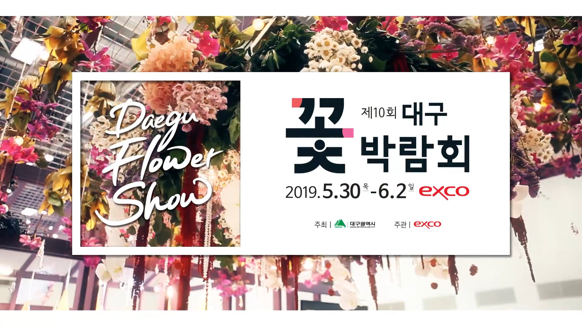 제10회 대구꽃박람회 스팟