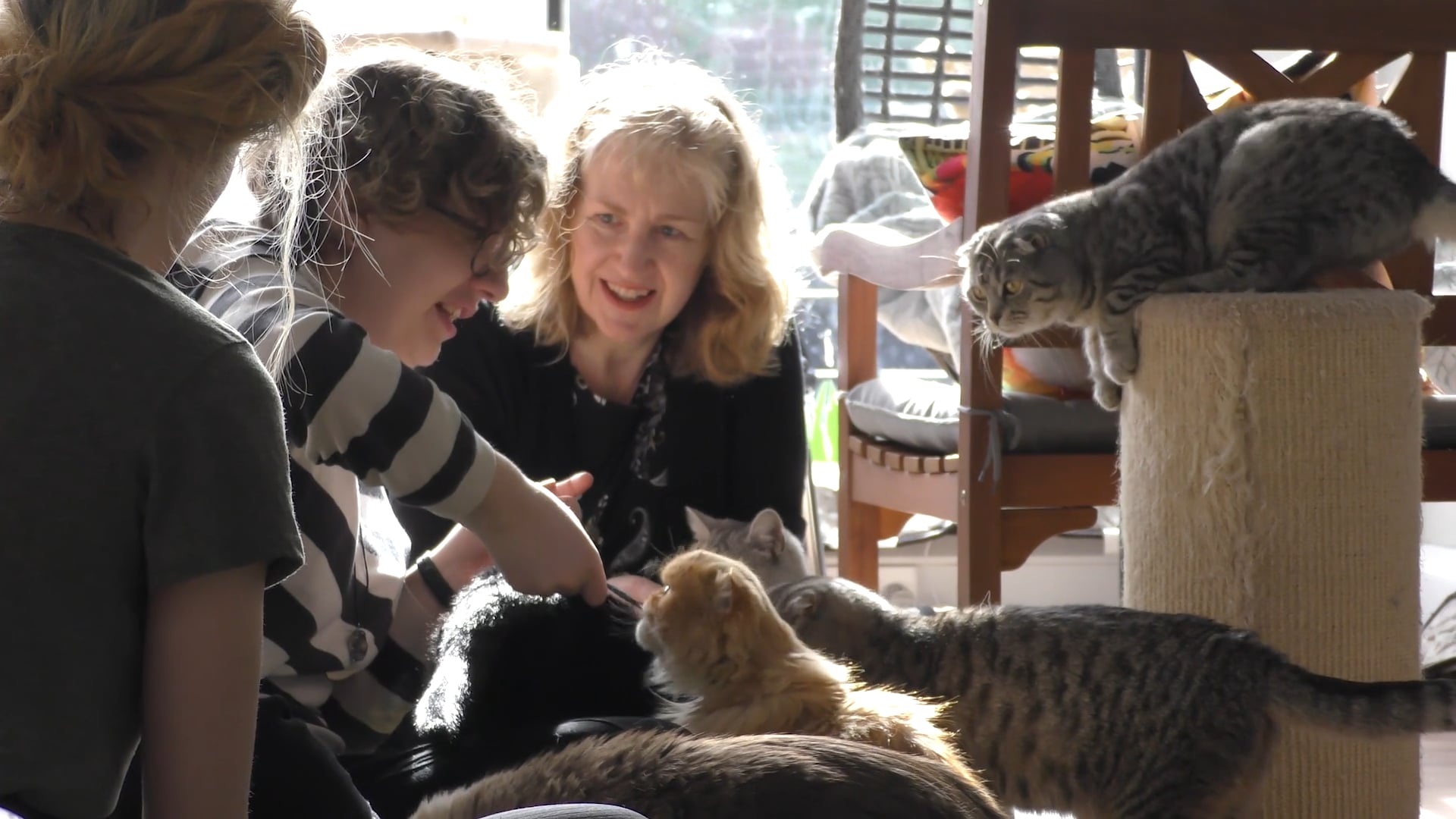 Sense of Place: Catpawcino Cat cafe, Newcastle