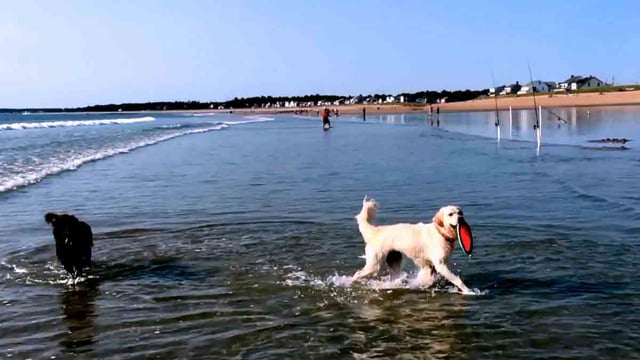 One Minute of Summer