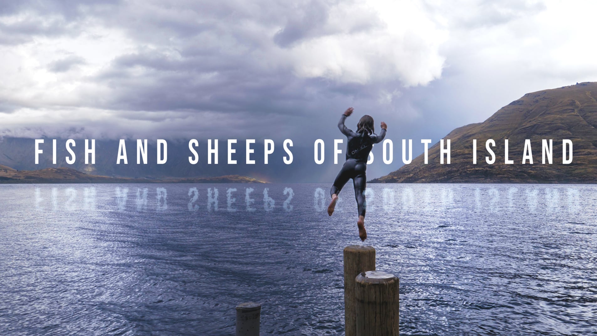 Fish & sheeps of South Island, New Zealand