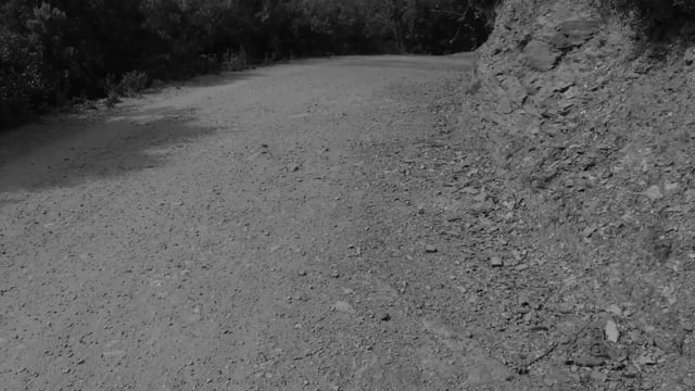 "El_Camino" de Eugenio Tisselli