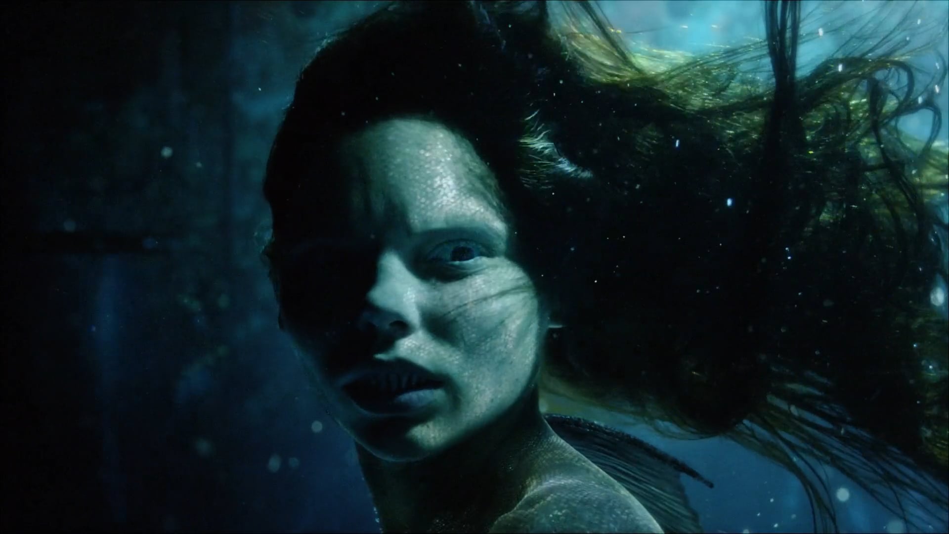 SIREN S2 - VS