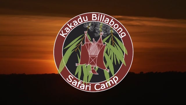 Kakadu Community Cultural Workshop