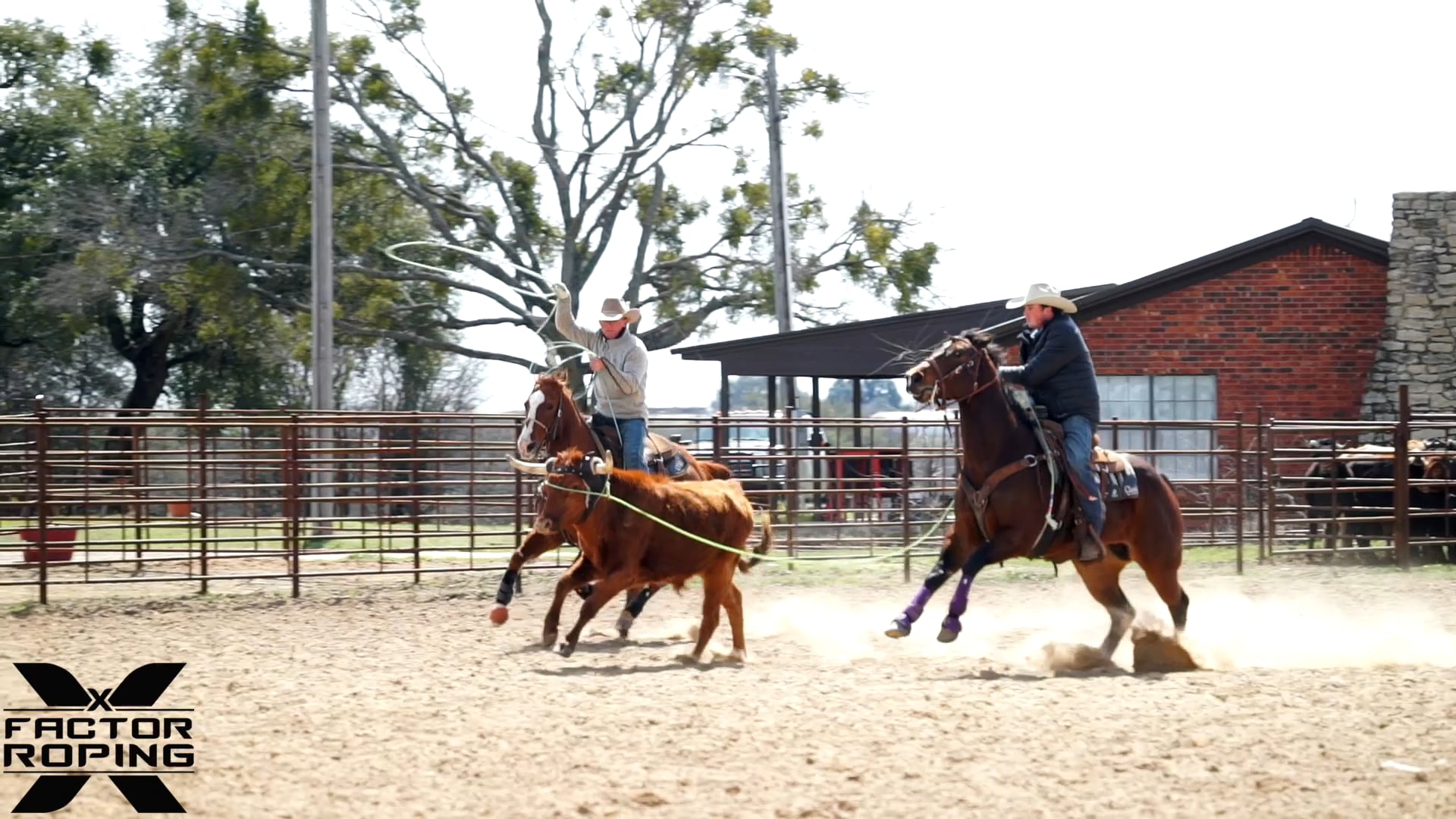 Building a Strong Foundation with Lane Ivy FREE