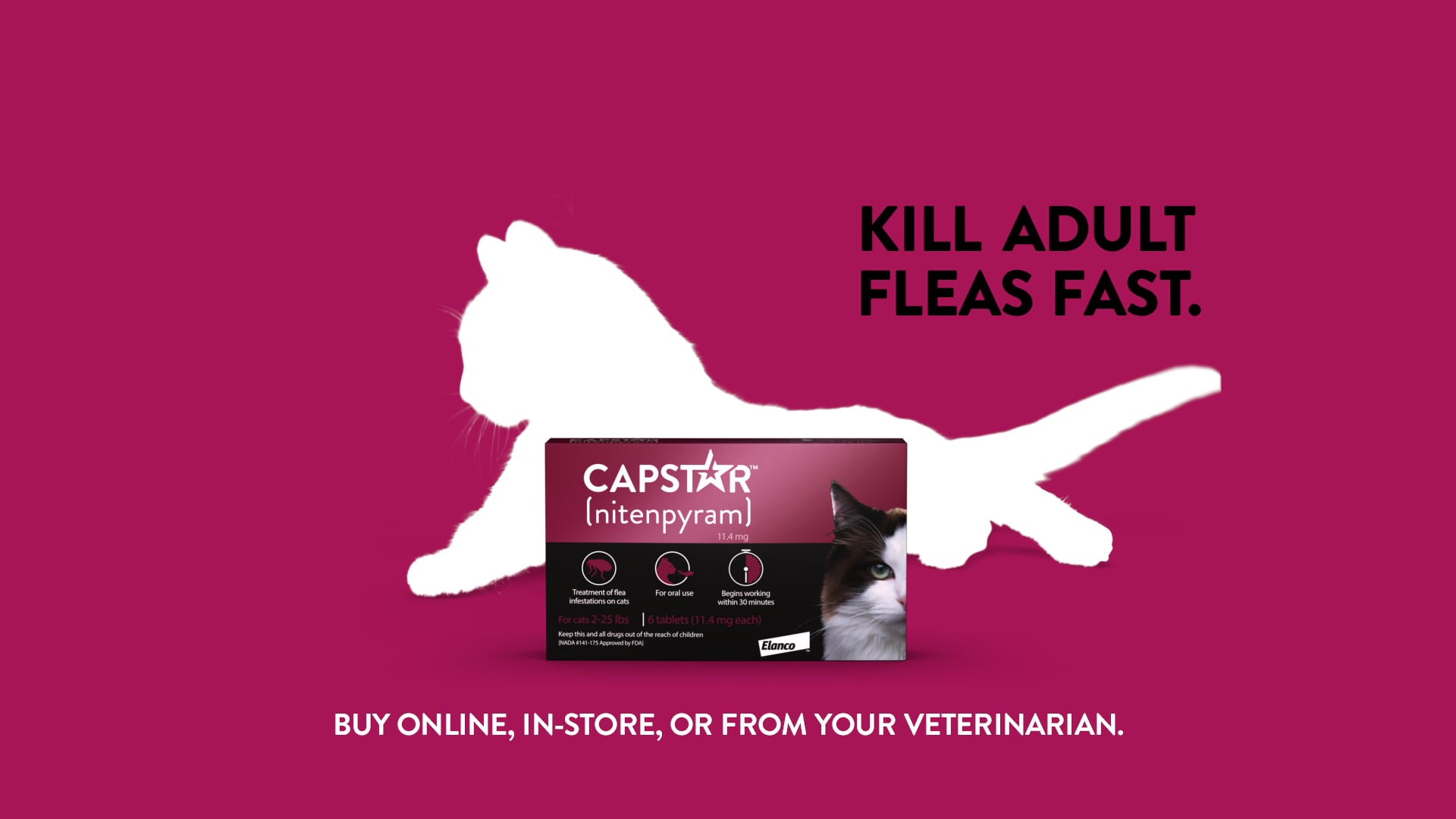 Capstar "Cat" 30 on Vimeo