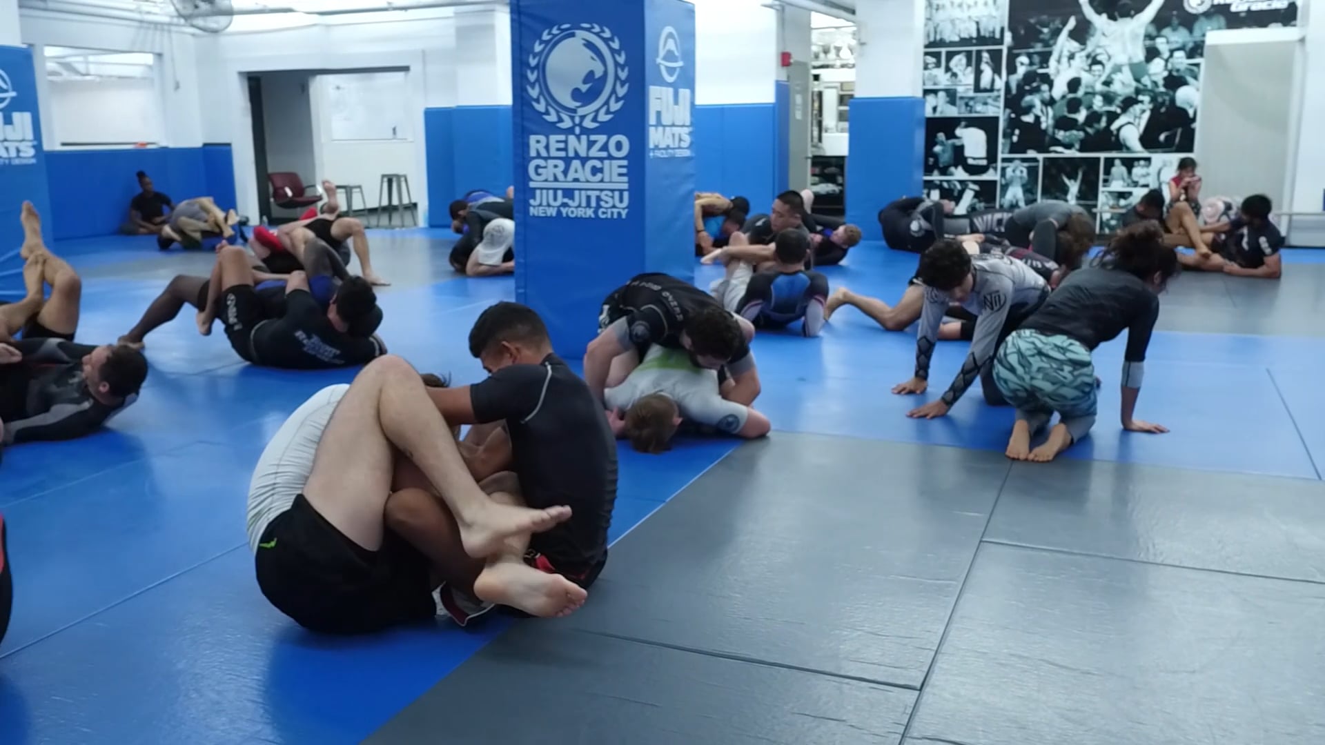ジョン・ダナハー フロントヘッドロック ちかい DVD 柔術 john danaher