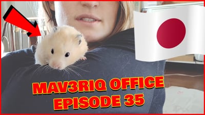 The New Mav3riq Pet From JAPAN! - Office Vlog Ep.35