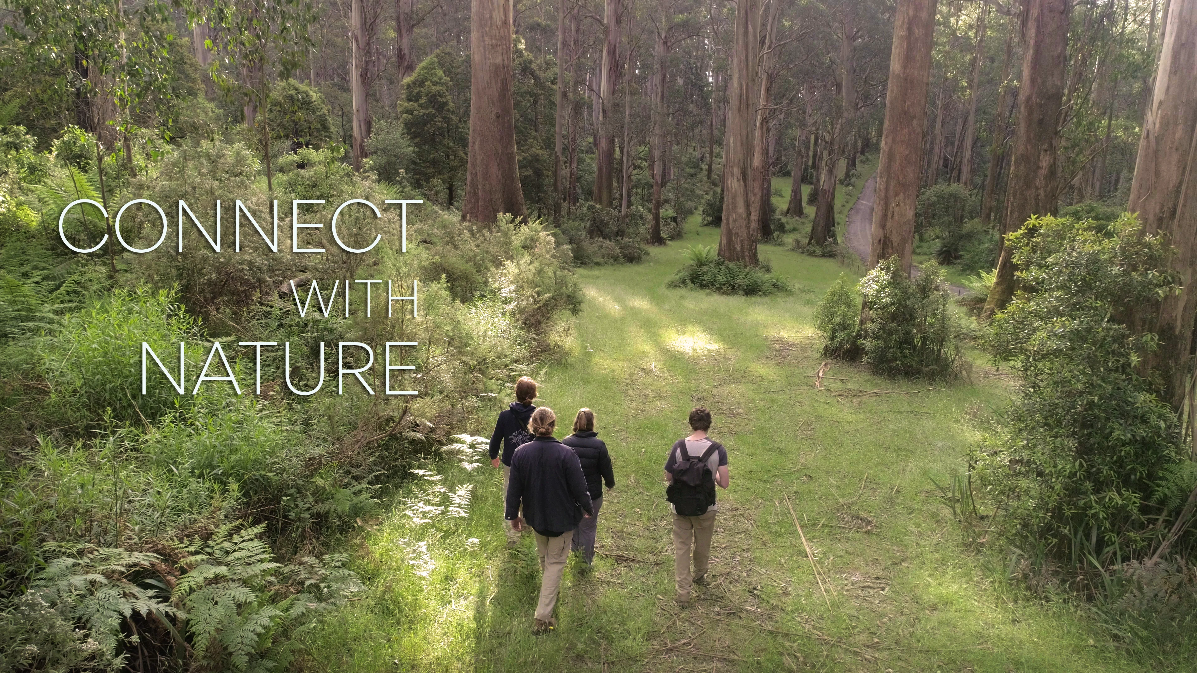 Nature Connection on Vimeo