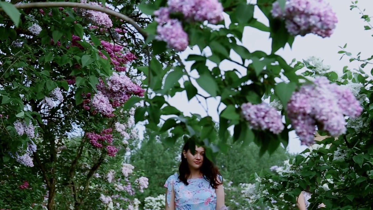 Ylya_1 on Vimeo
