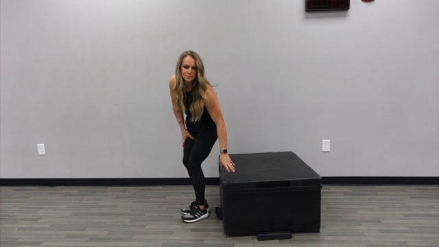 Bodyweight Tricep Dips