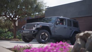 Related Embedded Video Item Thumbnail