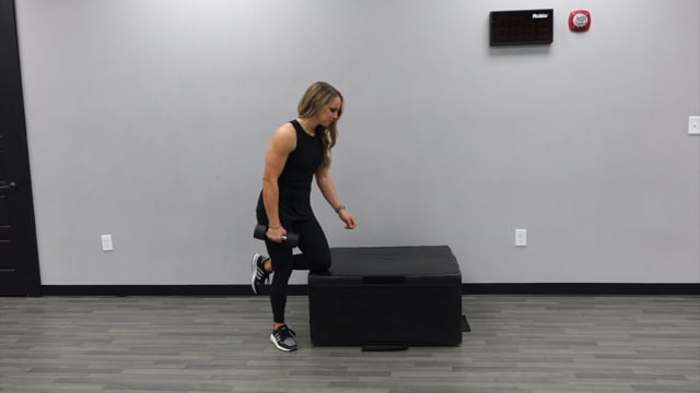 Dumbbell Single Arm Rows