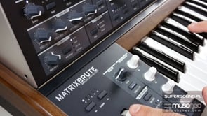 Arturia MatrixBrute SOUND DEMO