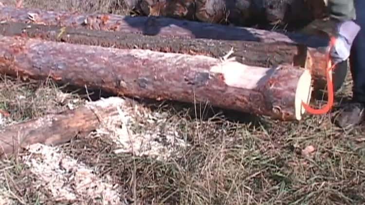 Outils d'exploitation forestiers & de manipulation de billes – TimberTool,  sapi, tourne-billes, etc on Vimeo