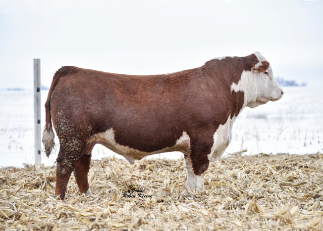 Lot #2E - WALSH SMAK 193 THROTTLED UP 2E