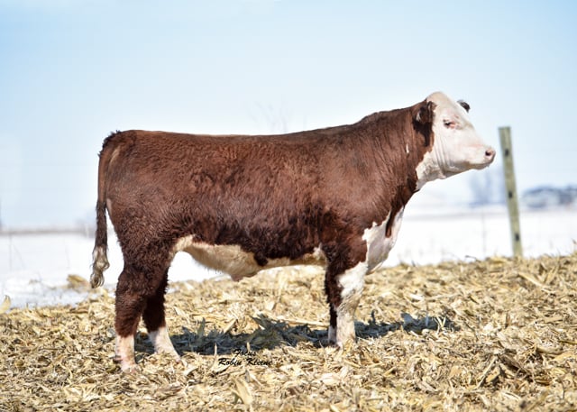 Lot #73 - 73