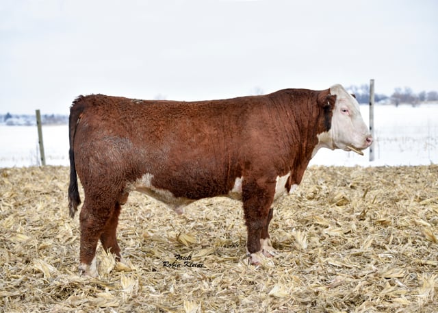 Lot #7E - WALSH 1X THROTTLED UP 7E