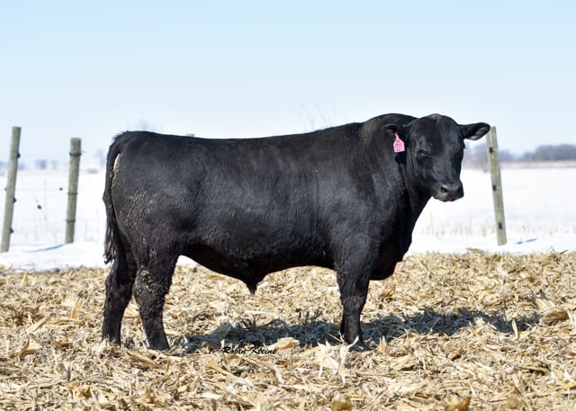 Lot #1711 - 1711