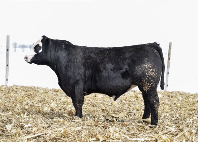 Lot #7701 - SMAK 701 BROKER 7701