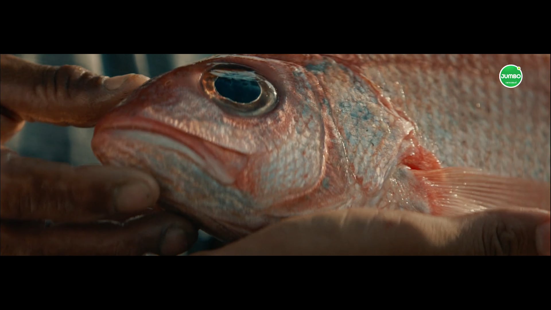 Jumbo_Pescadería