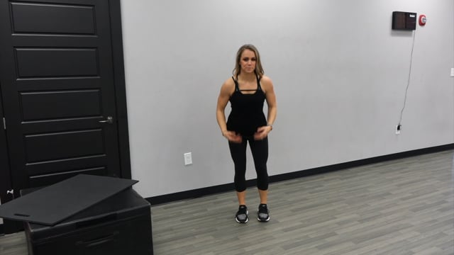 Home Skier Steps