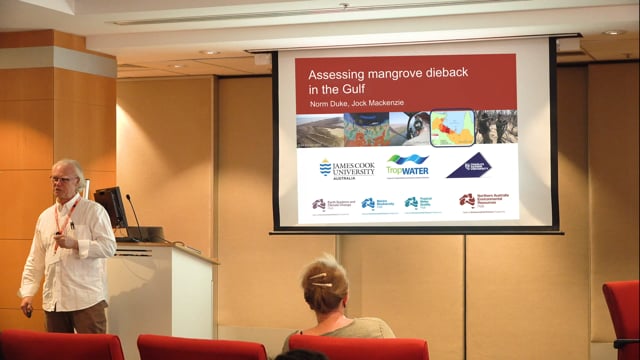 Mangrove dieback in the Gulf – Norm Duke (video Feb 2019)