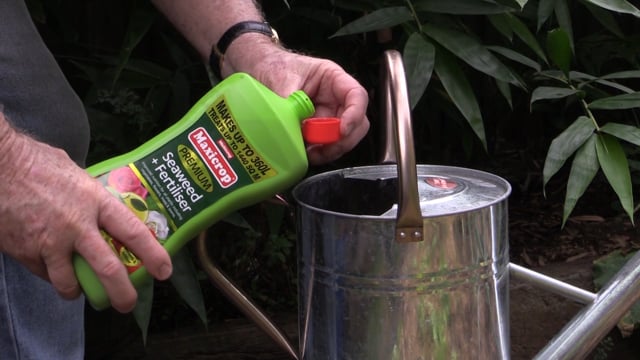 Graham explains the benefits of seaweed and a new Maxicrop product