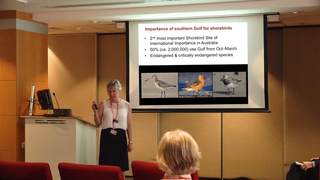 Understanding risks to shorebirds & fisheries from reduced Gulf river flows – Michele Burford (video Feb 2019)