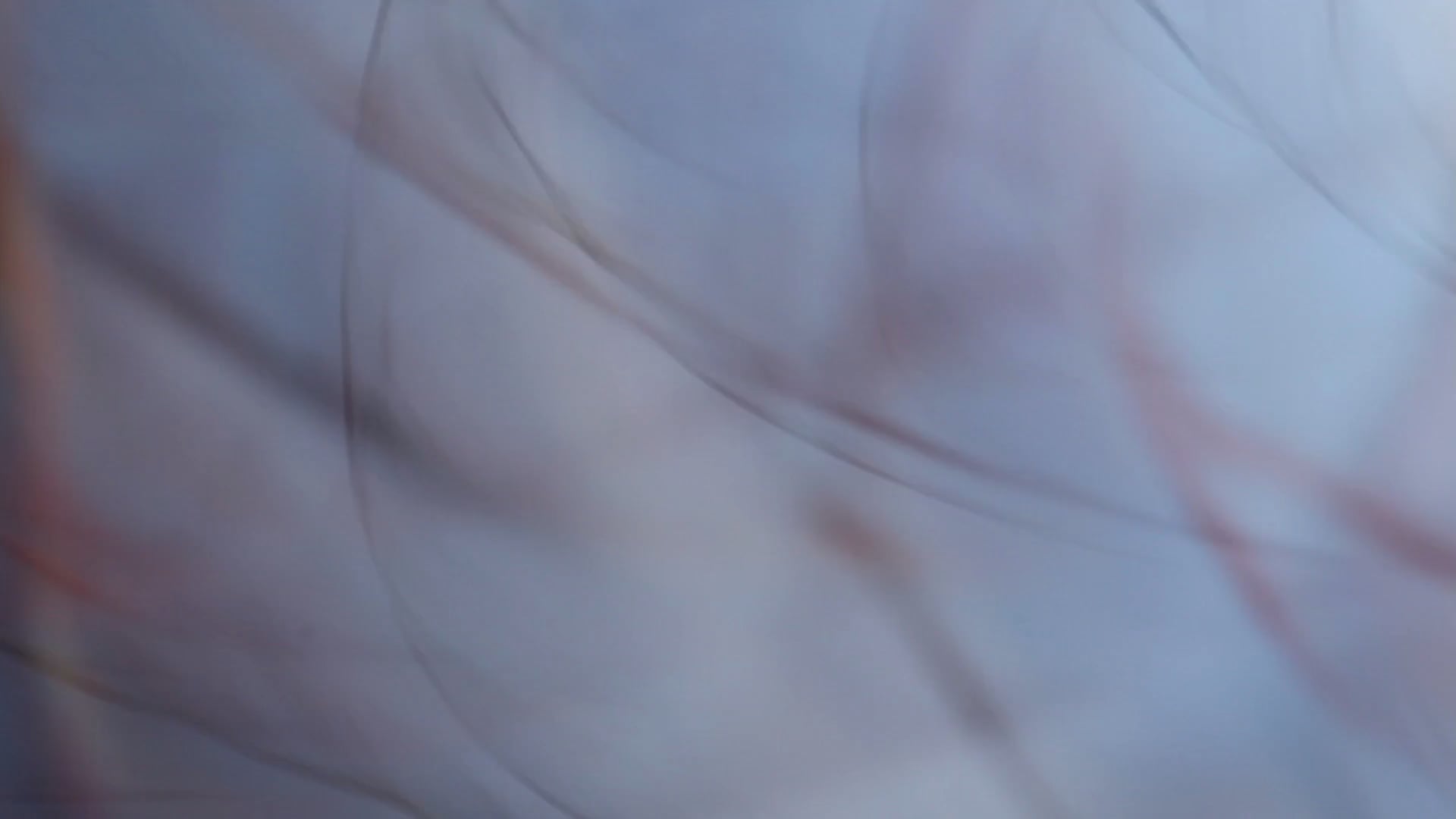 Coat and Jewels (Experimental Short)
