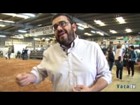 Entrevista a Vicenç Vidal