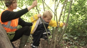 I want to climb a tree thumbnail