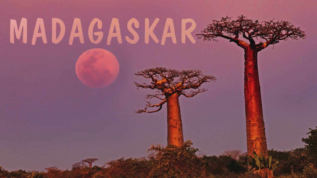 Madagaskar - Alles auf Anfang